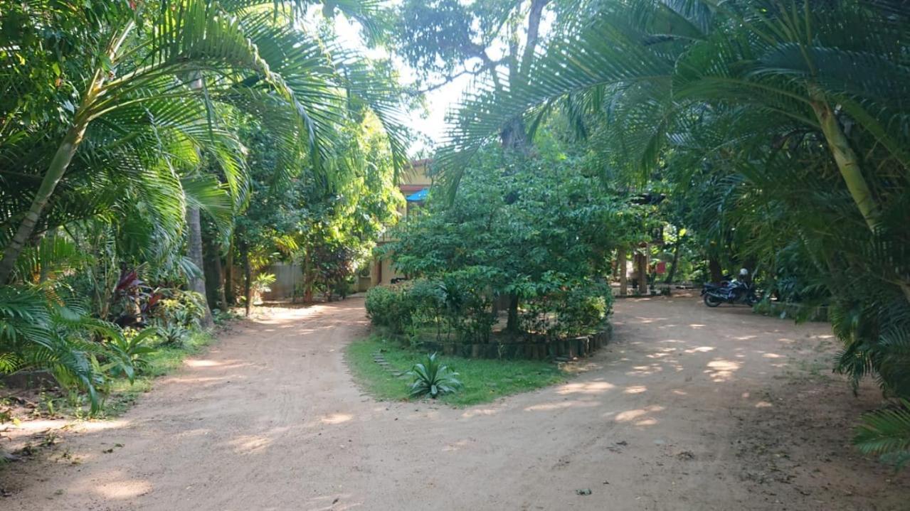Leopard City Hostel Yala Tissamaharama Eksteriør billede